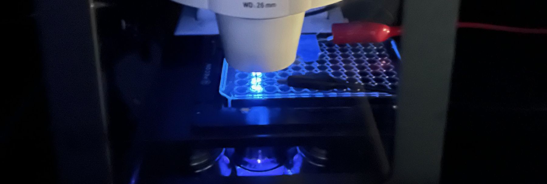 MIP Facilities NSF BioPACIFIC MIP (DMR1933487)